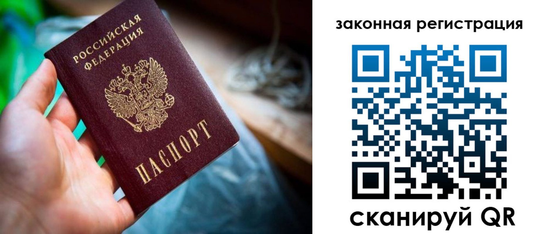 прописка в Коми